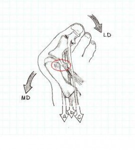 e5a496e58f8de6af8de8b6beefbc90efbc91_1