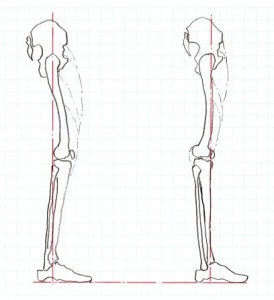 knee_joint