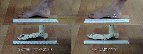 cimg1622_comb_zero4